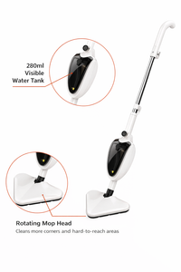 Чистач на пареа