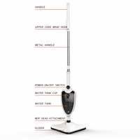 Чистач на пареа