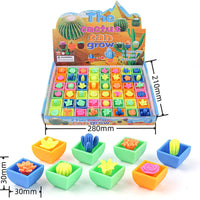 COMBO Пакети Кактуси Кои Растат Во Вода