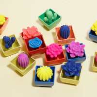 COMBO Пакети Кактуси Кои Растат Во Вода