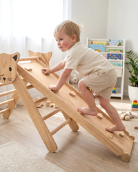 Montessori пиклеров триаголник
