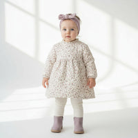 Зимско Фустанче Цвеќе