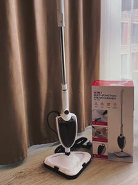 Чистач на пареа